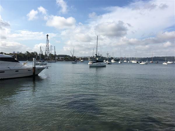 Beare Park Elizabeth Bay Marina (30/11/2016 - Credits: Mechele Axford)