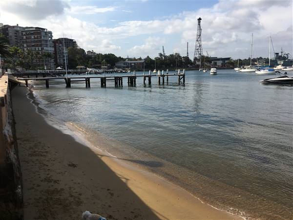 Beare Park Elizabeth Bay Marina (30/11/2016 - Credits: Mechele Axford)