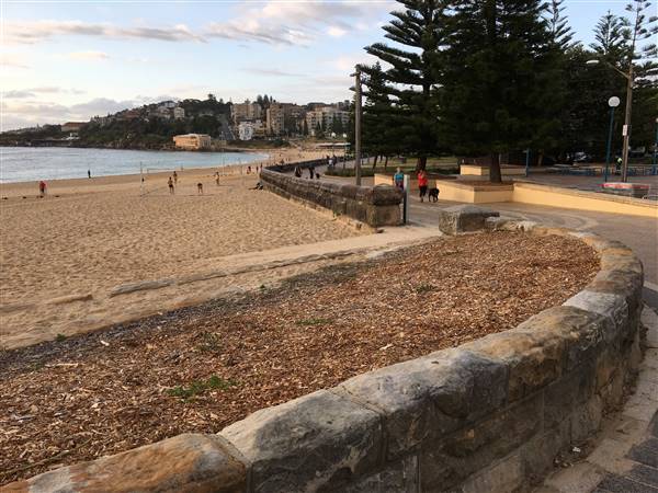 Coogee Beach North - South View (28/11/2016 - Credits: Mechele Axford)