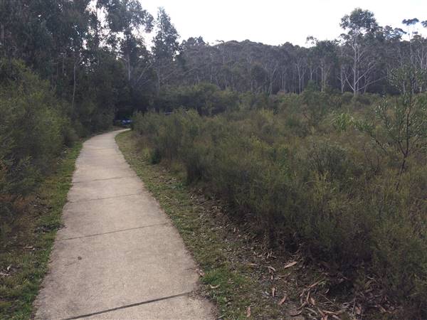 The Gully Walk, Katoomba (formerly Catalina Park) (24/05/2017 - Credits: Robyn Bersten)