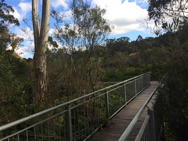 The Gully Walk, Katoomba (formerly Catalina Park) (24/05/2017 - Credits: Robyn Bersten)