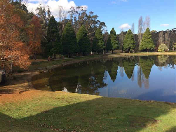 The Gully Walk, Katoomba (formerly Catalina Park) (24/05/2017 - Credits: Robyn Bersten)