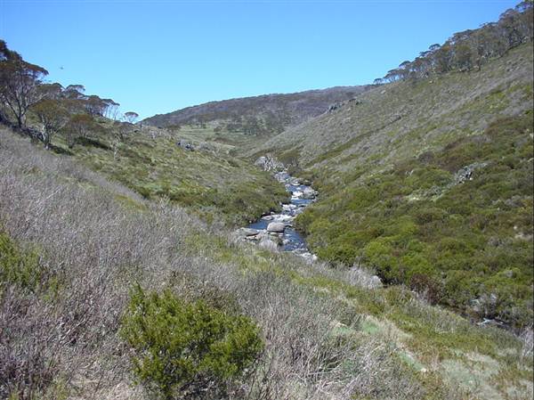 Snowy Mountains region (12/07/2017 8:28:01 PM)