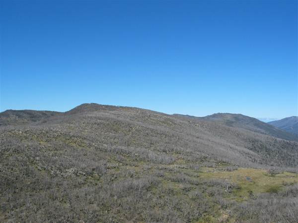 Snowy Mountains region (12/07/2017 8:28:08 PM)