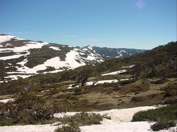 Snowy Mountains region (12/07/2017 8:28:19 PM)