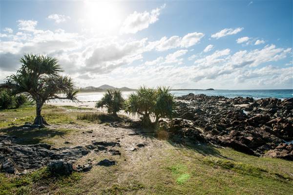 Hastings Point (26/07/2017)