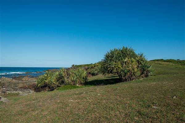 Hastings Point (30/05/2017 - Credits: Colin McDougall)