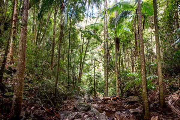 Tunsted Private Property Crystal Creek Valley (1/06/2017 - Credits: Colin McDougall)