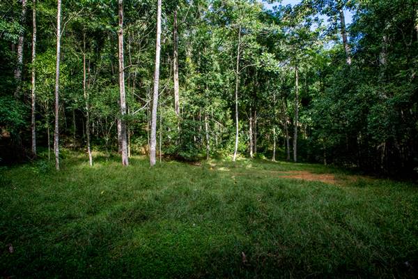 Tunsted Private Property Crystal Creek Valley (8/06/2017 - Credits: Colin McDougal)