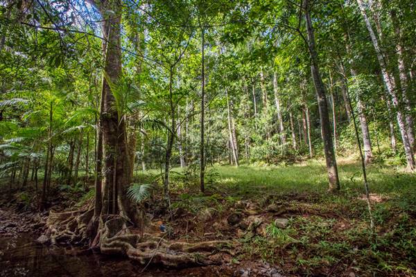 Tunsted Private Property Crystal Creek Valley (8/06/2017 - Credits: Colin McDougal)