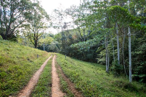 Tunsted Private Property Crystal Creek Valley (1/06/2017 - Credits: Colin McDougal)