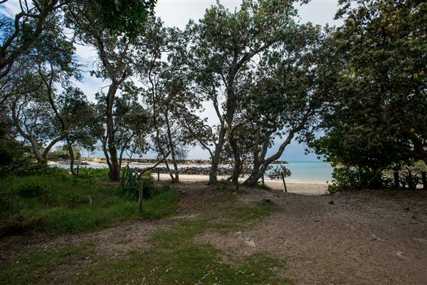 Brunswick Head Estuaries 2017 (27/07/2017 - Credits: Colin McDougall)