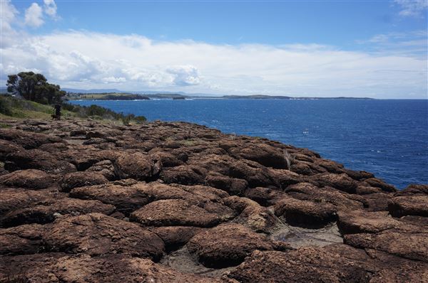Bombo Headland Quarry (2/02/2018 - Credits: Mary Barltrop)