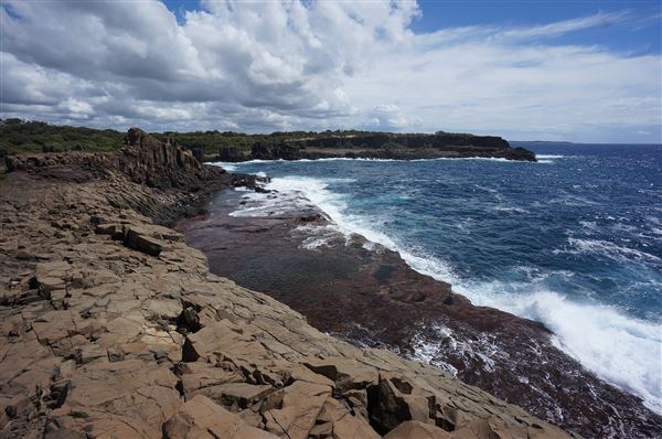 Bombo Headland Quarry (2/02/2018 - Credits: Mary Barltrop)