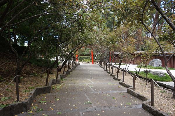 Auburn Botanic Gardens - Japanese Garden (4/02/2018 - Credits: Mary Barltrop)