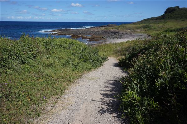 Bass Point Reserve (2/02/2018 - Credits: Mary Barltrop)