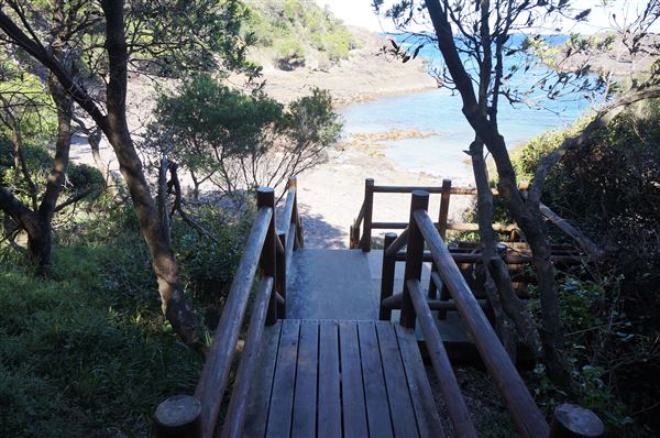 Bass Point Reserve (2/02/2018 - Credits: Mary Barltrop)