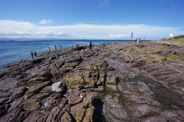 Bass Point Reserve (2/02/2018 - Credits: Mary Barltrop)