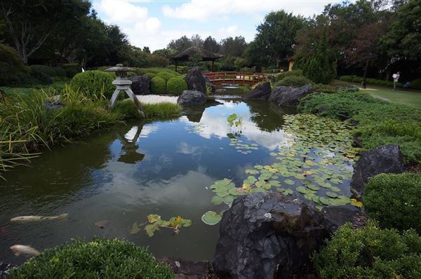 Edogawa Japanese Garden (4/02/2018 - Credits: Mary Barltrop)