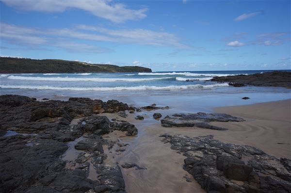 Killalea Regional Park (2/02/2018 - Credits: Mary Barltrop)
