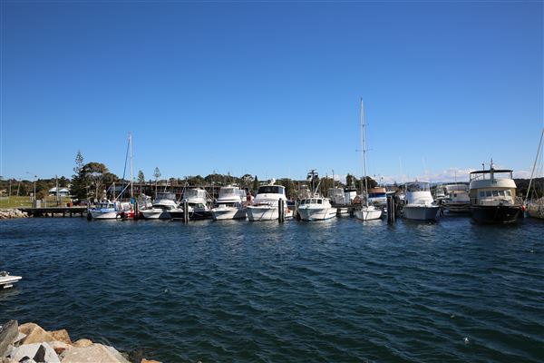 Bermagui (4/08/2018 - Credits: Lisa Scope)