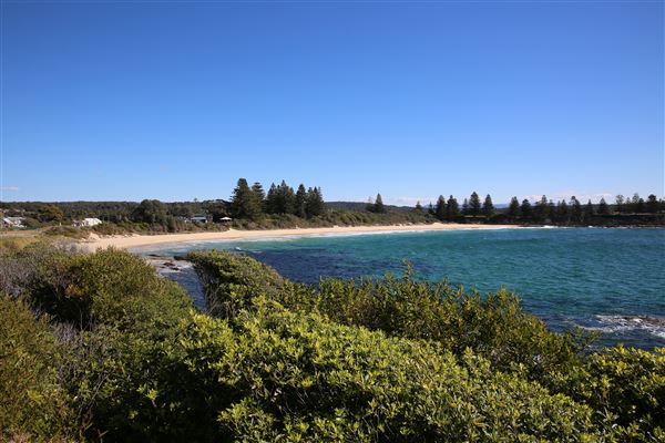 Bermagui (4/08/2018 - Credits: Lisa Scope)