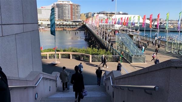 Darling Harbour (15/08/2018 - Credits: Shannon Wheeler)