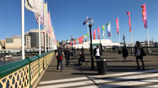 Darling Harbour (15/08/2018 - Credits: Shannon Wheeler)