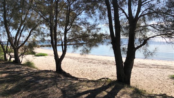 Bonna Point Reserve (23/05/2018 - Credits: Shannon Wheeler)