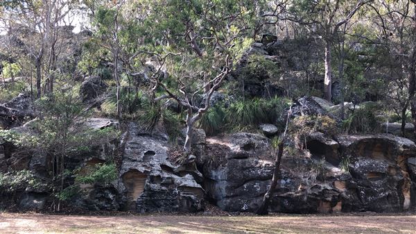Bonnet Bay - Burnum Burnum Sanctuary & Tom Evans Field (23/05/2018 - Credits: Shannon Wheeler)