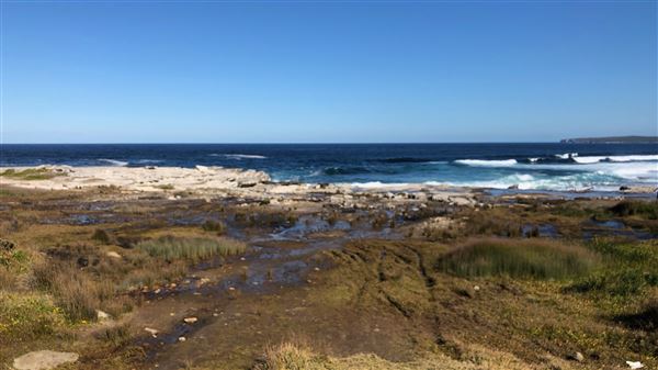 Kamay Botany Bay National Park (23/05/2018 - Credits: Shannon Wheeler)