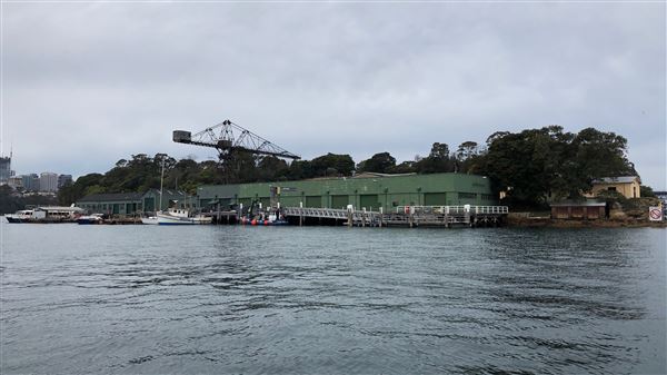 Goat Island (31/08/2018 - Credits: Shannon Wheeler)