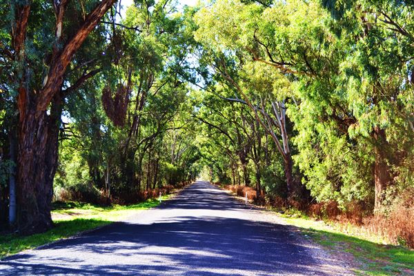 Narrabri Shire (21/09/2017 - Credits: Liza Barlow)
