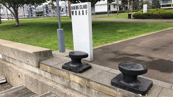 Ballaarat Park - Pyrmont (26/10/2018 - Credits: Shannon Wheeler)