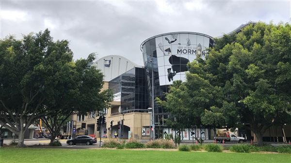 Pyrmont Bay Park (26/10/2018 - Credits: Shannon Wheeler)