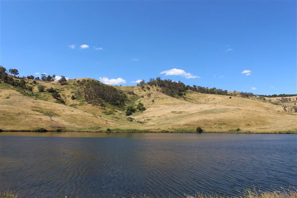 Lake Lyell (16/01/2018)