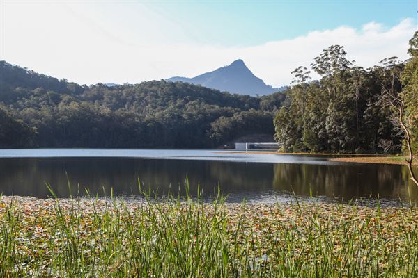 Clarrie Hall Dam (1/11/2018)