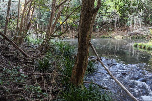 Clarrie Hall Dam (1/11/2018)