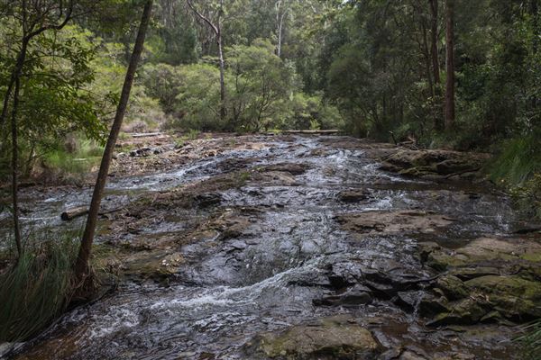 Minyon Falls - Nightcap National Park (1/11/2018)