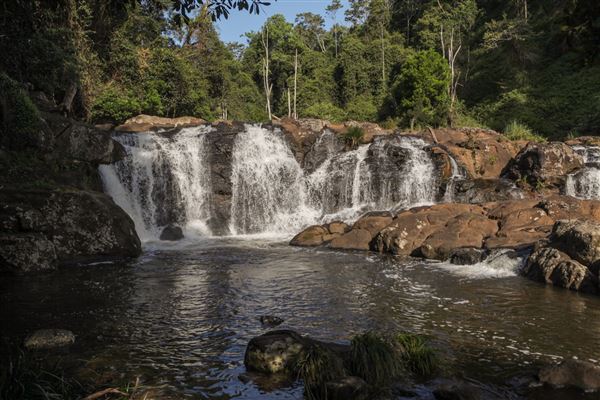Whian Whian Falls (1/11/2018)