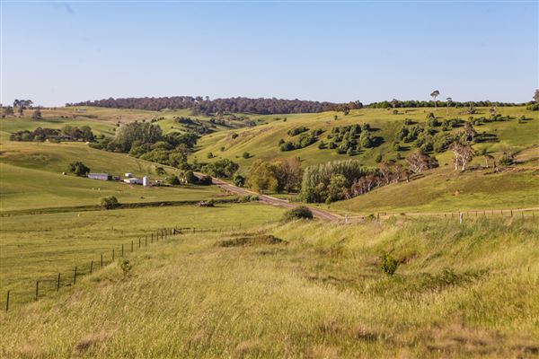 Taralga countryside (31/10/2018)