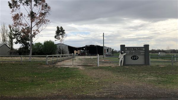 East Tamworth (17/09/2018 - Credits: Shannon Wheeler)