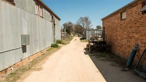 Bundarra (20/09/2018 - Credits: Colin McDougall)