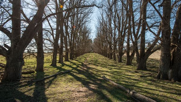 Armidale (20/09/2018 - Credits: Colin McDougall)