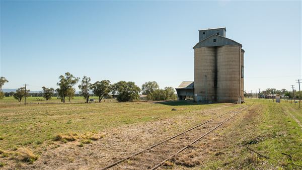 Attunga (20/09/2018 - Credits: Colin McDougall)