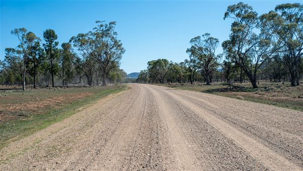 Curlewis (21/09/2018 - Credits: Colin McDougall)