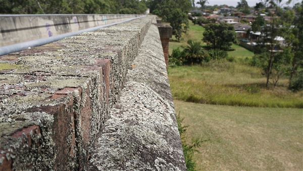 Boothtown Greystanes Aqueduct - Cycleway (6/03/2019 - Credits: Shannon Wheeler)