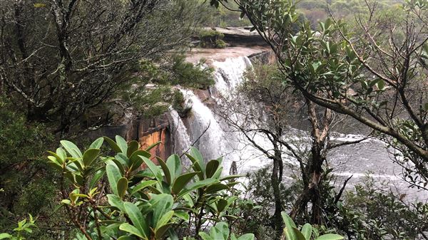 Wattamolla Beach (17/03/2019 - Credits: Shannon Wheeler)