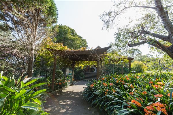Camelia Gardens (16/07/2019)