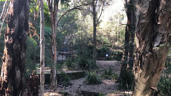 Trumper Park (24/08/2019 - Credits: Shannon Wheeler)